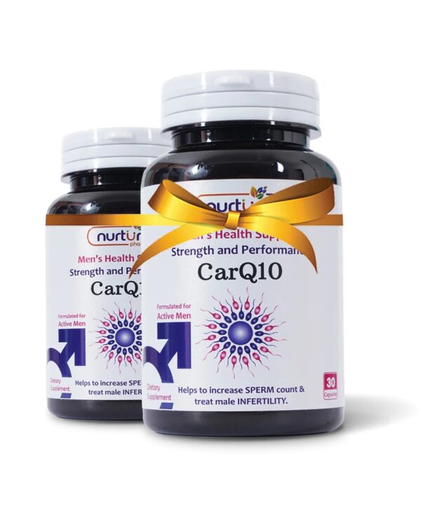 CarQ10 - Image 2